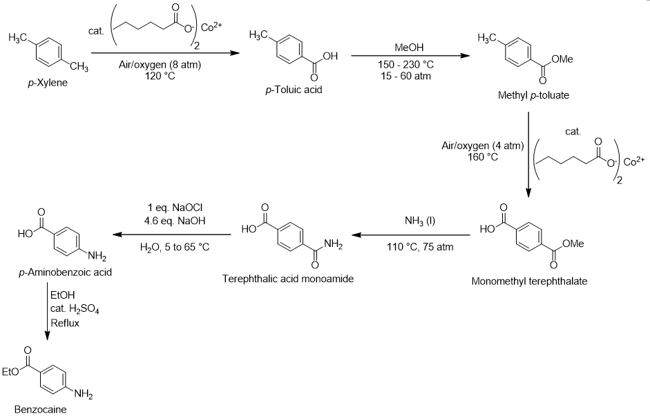 Benzocaine total synthesis from p-xylene