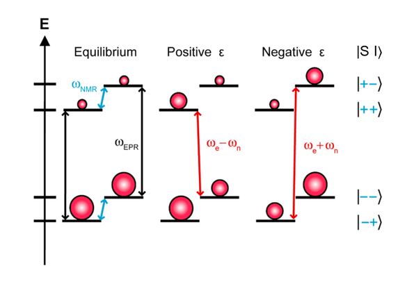 Two spin solid effect model