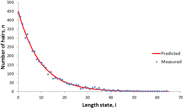 Length distribution of hairs