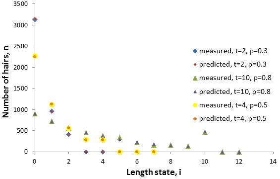 Hair growth size distributions