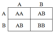 Figure 33