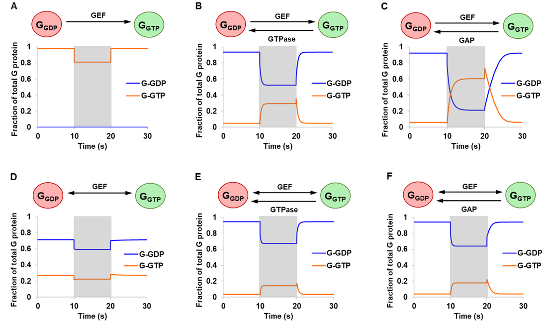 Simulations of initial model