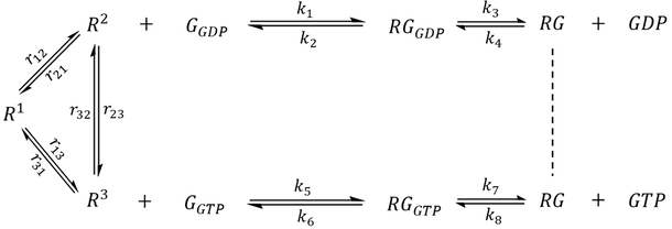 GPCR-G protein signaling pathway