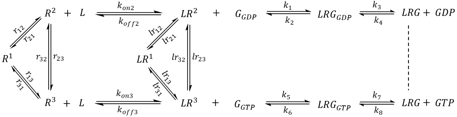 extended GPCR-G protein signaling pathway