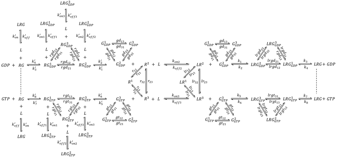 Multi-state GPCR-G protein pathway with precoupling