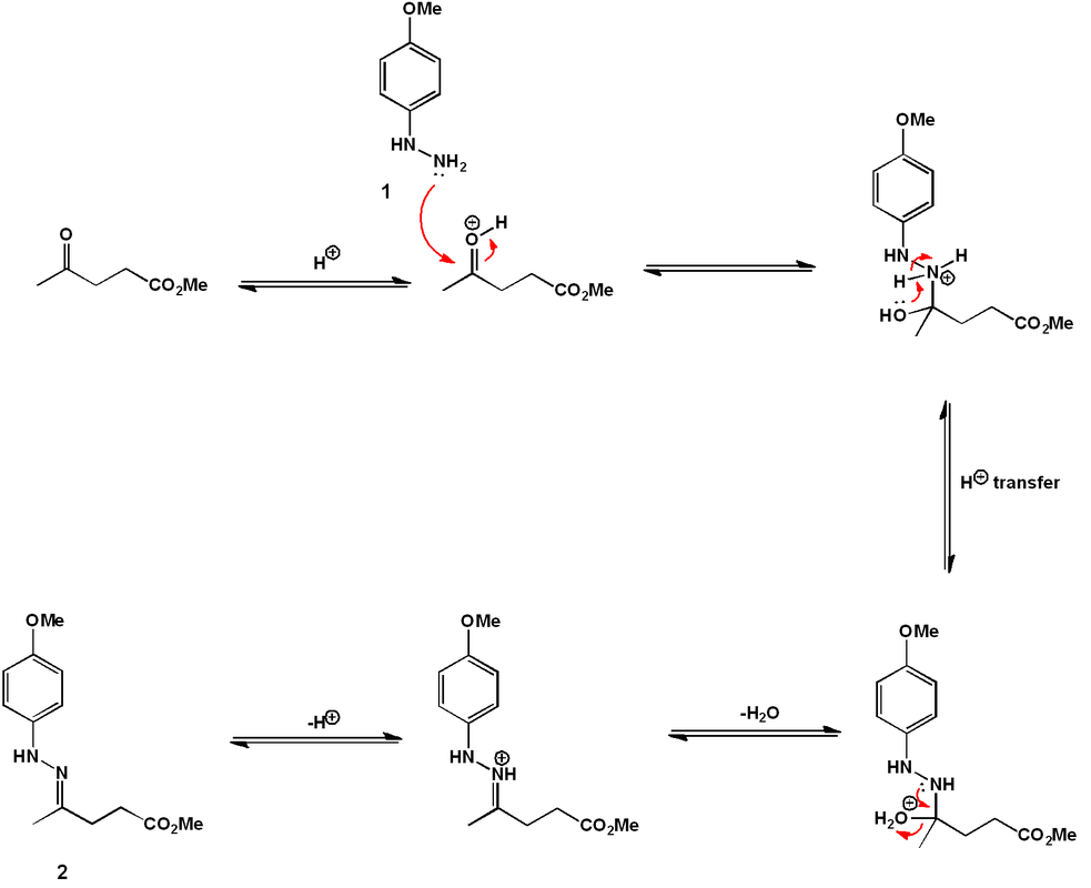 Hydrazone formation mechanism