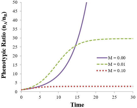 The effect of mutation on population evolution equilibrium